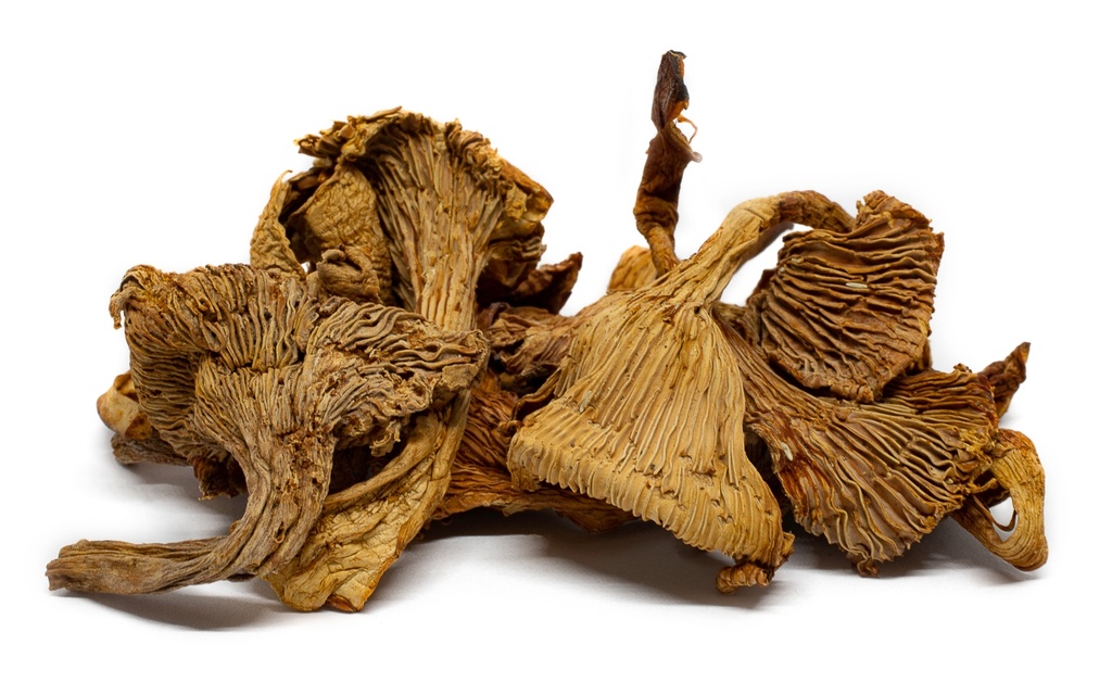 Chanterelles Girolles