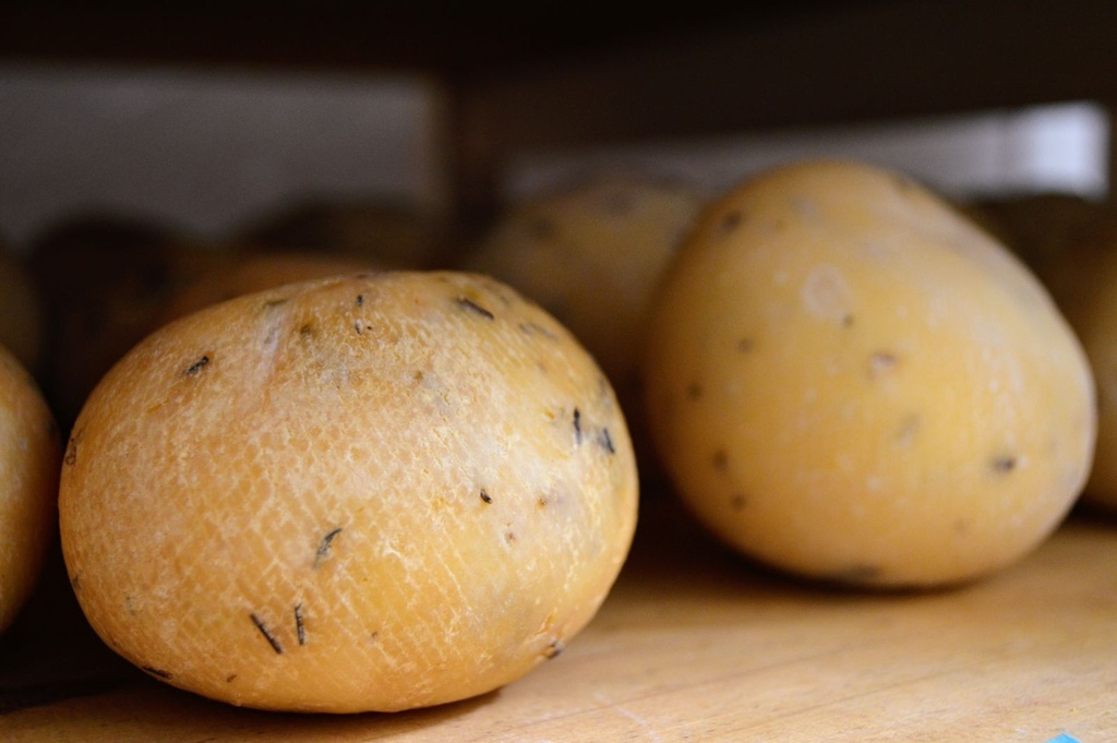 Queso Romajo