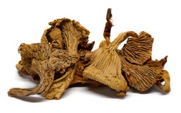 Chanterelles Girolles
