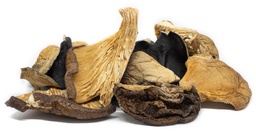 Mix Del Bosque 500 Gr