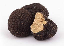 [TrufVeran] Trufa De Verano